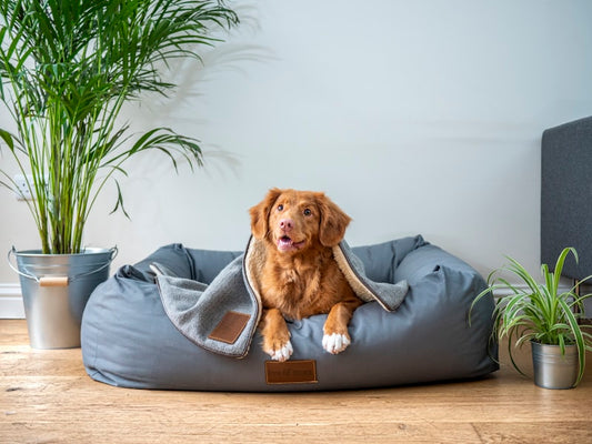 Orthopedic Calming Dog Bed - Anti-Anxiety Donut Cuddler with Plush Faux Fur - Machine Washable Self-Warming Pet Bed for Improved Sleep
